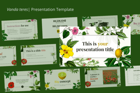 Vanda Teres: Crafting Visual Identity with Clarity